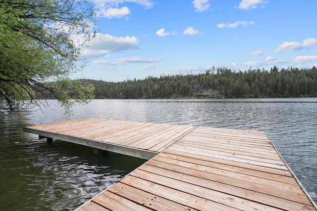 6482 Lakeview Dr, Nine Mile Falls, WA 99026 - dock with a view of trees and a water view