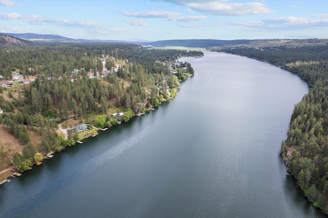 6482 Lakeview Dr, Nine Mile Falls, WA 99026 - bird's eye view of a heavily wooded area and a water and mountain view