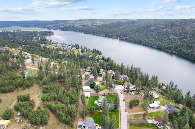 6482 Lakeview Dr, Nine Mile Falls, WA 99026 - aerial view of property's location with a forest and a nearby body of water