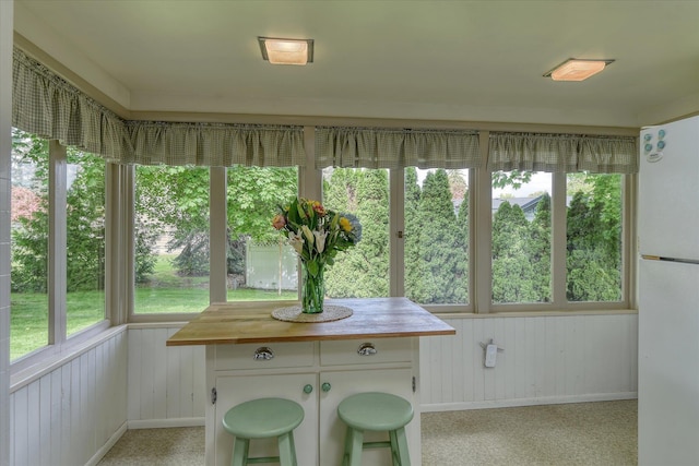 sunroom with wooden walls and baseboards