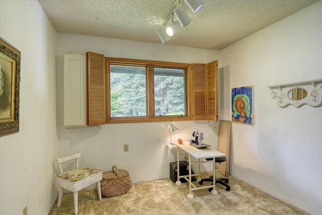 8410 E Columbia Park Dr, Spokane, WA 99212 - carpeted office space with a textured ceiling