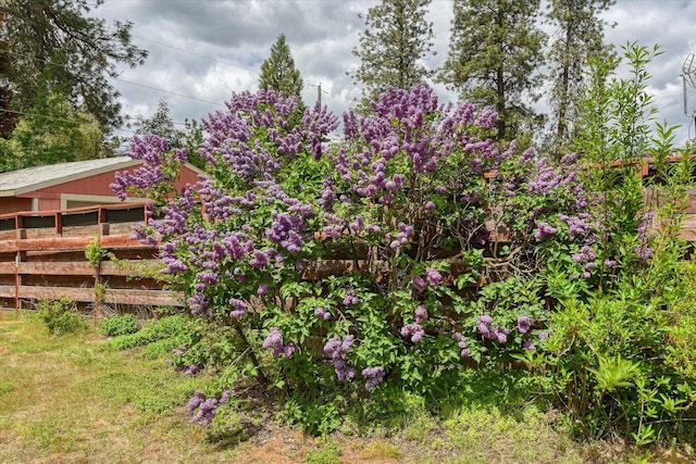 9509 N Atlantic St, Spokane, WA 99218 - view of yard