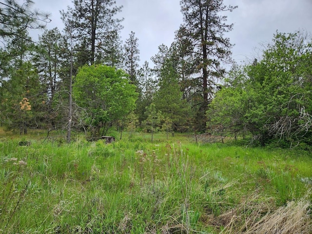 26237 N Spotted Rd, Deer Park, WA 99006