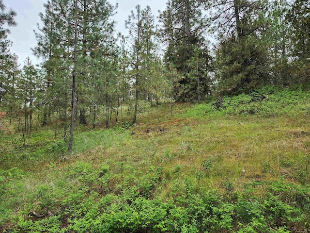 26237 N Spotted Rd, Deer Park, WA 99006