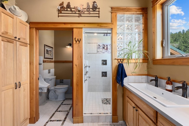 bathroom with a shower stall, toilet, healthy amount of natural light, and vanity