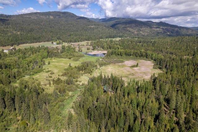 652 Penny Ln, Usk, WA 99180 - mountain view featuring a forest