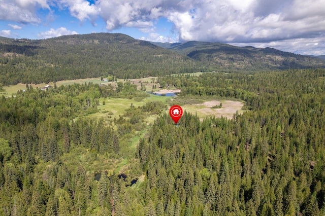 652 Penny Ln, Usk, WA 99180 - aerial overview of property's location featuring a forest and a mountain backdrop