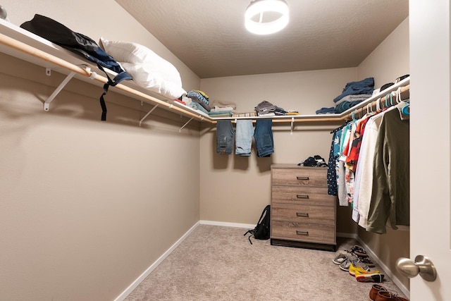 walk in closet featuring carpet flooring