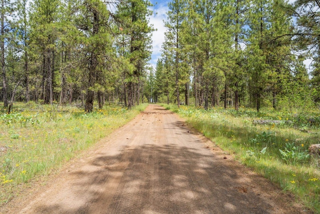 25720 W Malloy Prairie Rd, Cheney, WA 99004 - photo 44