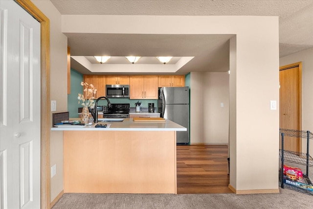172 S Coeur Dalene St Unit G304, Spokane, WA 99204 - kitchen featuring appliances with stainless steel finishes, a sink, a tray ceiling, a peninsula, and light countertops