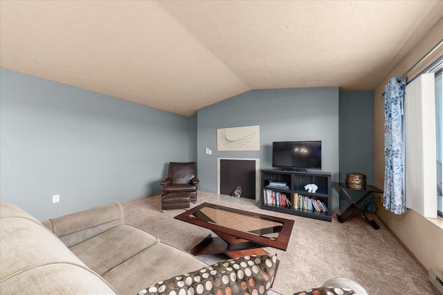 172 S Coeur Dalene St Unit G304, Spokane, WA 99204 - living room with carpet flooring, lofted ceiling, and a baseboard heating unit