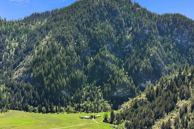 4345 Wilcox Rd, Northport, WA 99157 - view of mountain background with a heavily wooded area