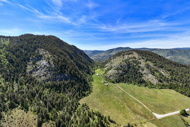 4345 Wilcox Rd, Northport, WA 99157 - view of mountain background with a forest