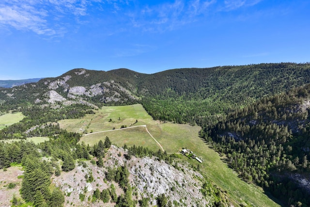 4345 Wilcox Rd, Northport, WA 99157 - mountain view with a forest