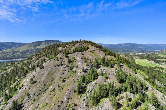 4345 Wilcox Rd, Northport, WA 99157 - view of mountain backdrop