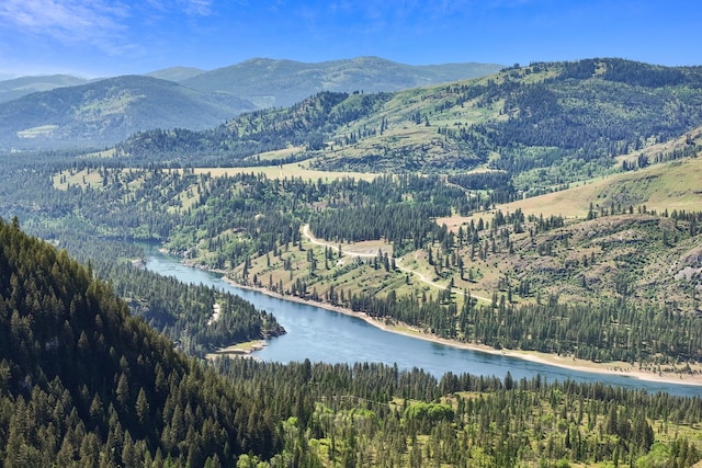 4345 Wilcox Rd, Northport, WA 99157 - mountain view with a forest and a large body of water