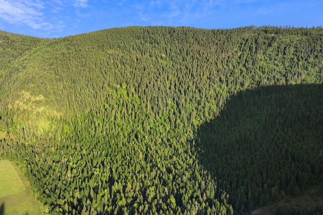 4345 Wilcox Rd, Northport, WA 99157 - aerial view of a forest