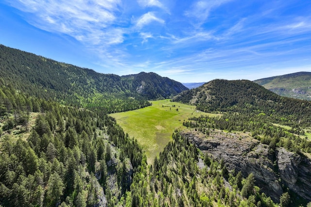 4345 Wilcox Rd, Northport, WA 99157 - view of mountain background featuring a forest
