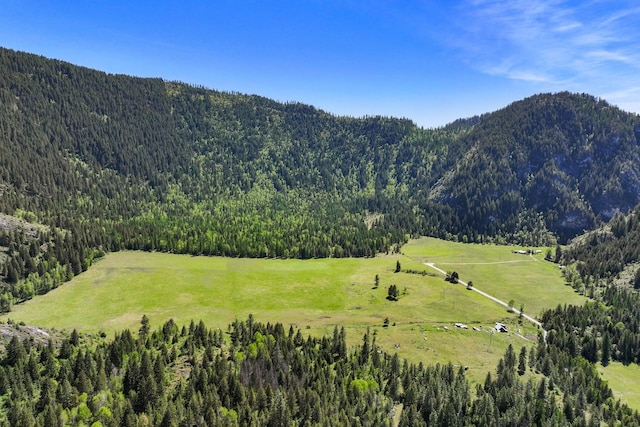 4345 Wilcox Rd, Northport, WA 99157 - view of mountain backdrop featuring a forest