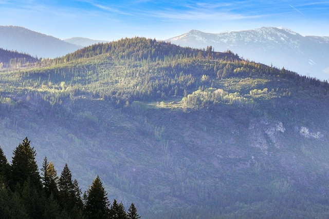4345 Wilcox Rd, Northport, WA 99157 - view of mountain background featuring a heavily wooded area