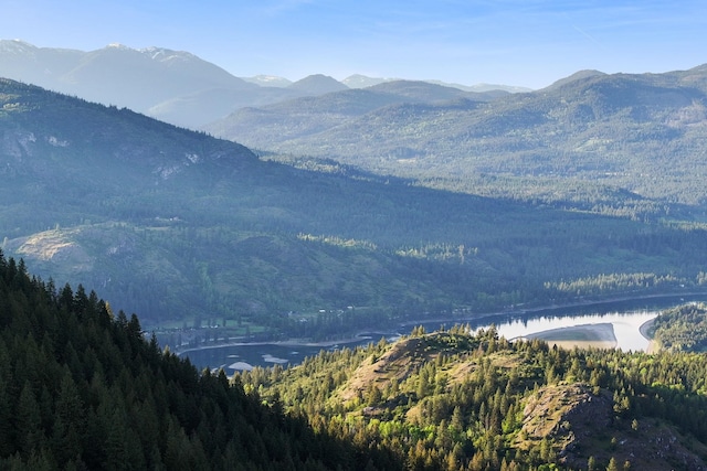 4345 Wilcox Rd, Northport, WA 99157 - mountain view with a heavily wooded area and a nearby body of water