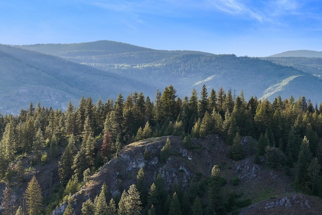 4345 Wilcox Rd, Northport, WA 99157 - view of mountain background with a forest