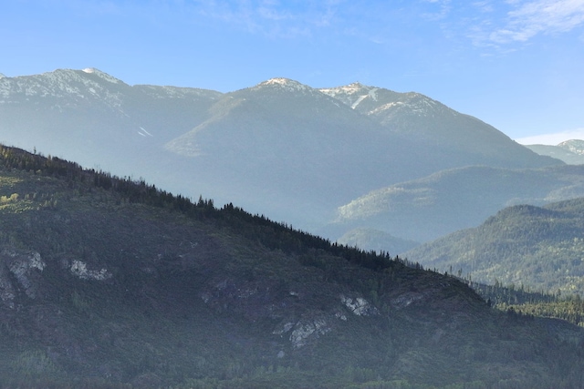 4345 Wilcox Rd, Northport, WA 99157 - mountain view