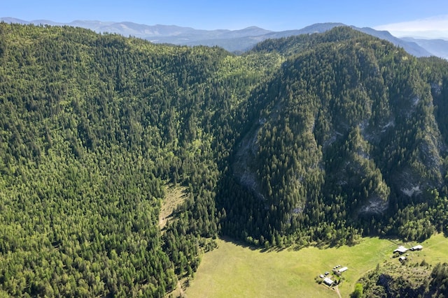 4345 Wilcox Rd, Northport, WA 99157 - mountain view featuring a heavily wooded area