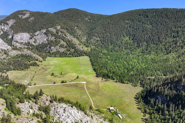 4345 Wilcox Rd, Northport, WA 99157 - view of mountain backdrop with a heavily wooded area