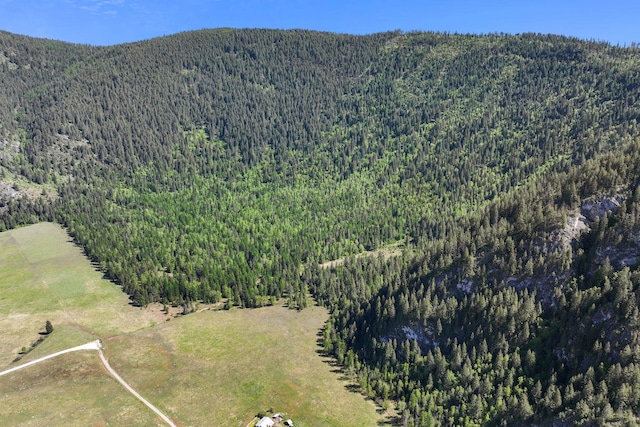 4345 Wilcox Rd, Northport, WA 99157 - mountain view featuring a forest
