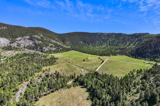 4345 Wilcox Rd, Northport, WA 99157 - mountain view featuring a forest