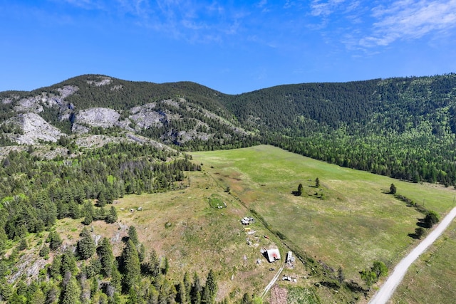 4345 Wilcox Rd, Northport, WA 99157 - view of mountain background featuring a forest