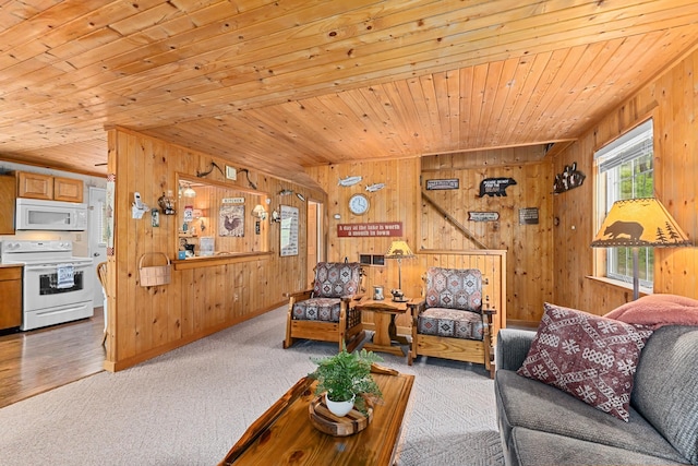231 Mountain View Dr, Newport, WA 99156 - carpeted living area featuring wood walls and wood ceiling