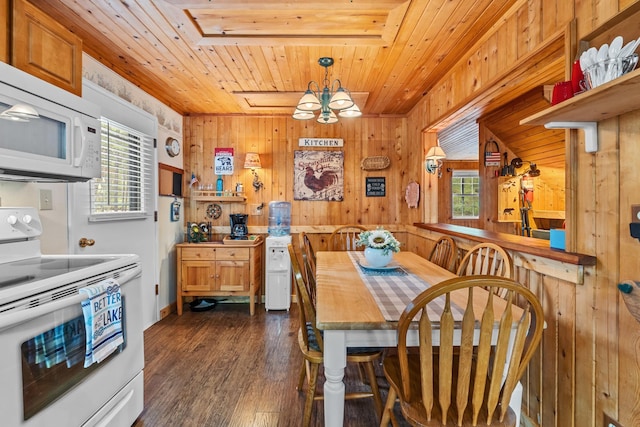 231 Mountain View Dr, Newport, WA 99156 - dining space with wooden ceiling, wooden walls, plenty of natural light, and dark wood finished floors