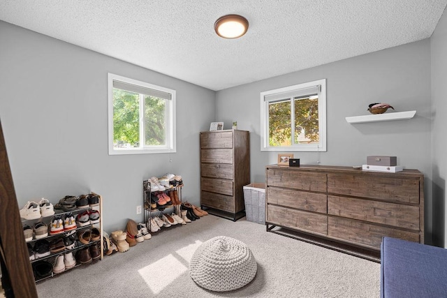 8214 N Jefferson Dr, Spokane, WA 99208 - bedroom featuring carpet flooring and a textured ceiling