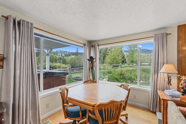 2443 Flowery Trail Rd, Usk, WA 99180 - dining room featuring baseboards, a textured ceiling, plenty of natural light, and light wood-type flooring