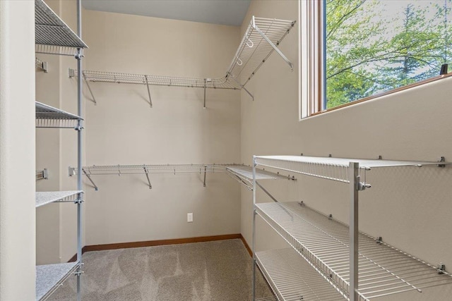 2503 S Thierman Ln, Spokane, WA 99223 - spacious closet featuring carpet flooring