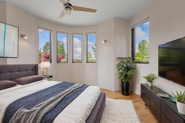2503 S Thierman Ln, Spokane, WA 99223 - bedroom with multiple windows, light wood-style flooring, and ceiling fan