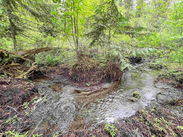 view of woods
