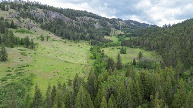 view of mountain background featuring a forest