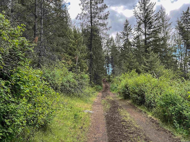 view of dirt / gravel road featuring a wooded view