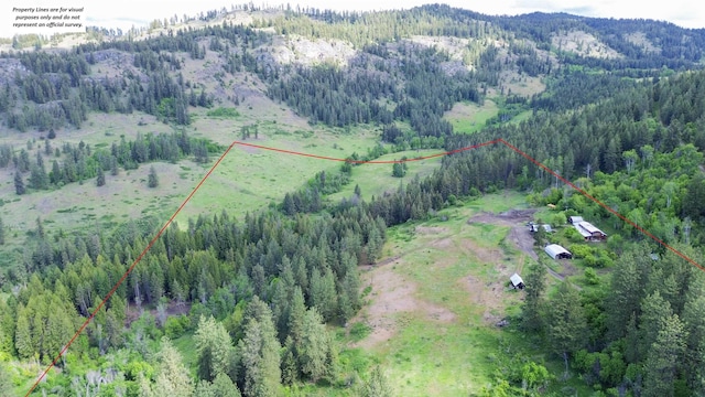 aerial overview of property's location with a forest, property boundaries highlighted, and a mountain backdrop
