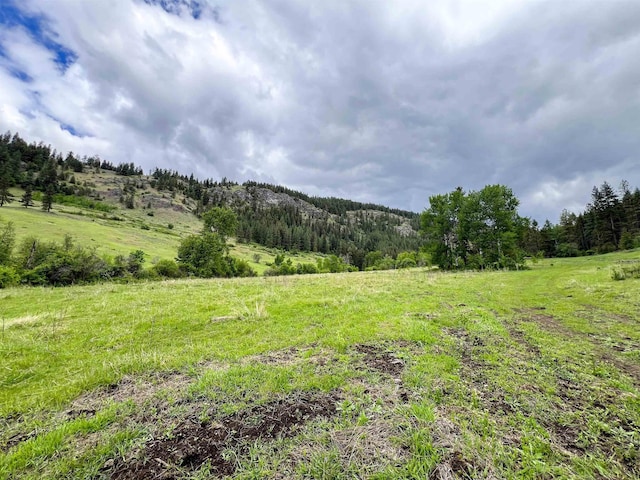 view of wooded area with a view of rural / pastoral area