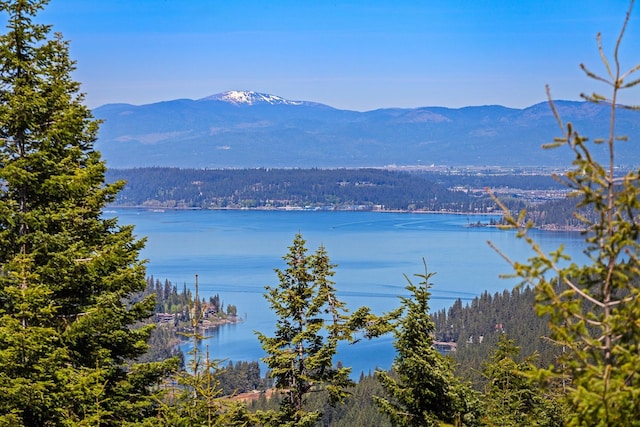 9338 S Caribou Ridge Rd, Harrison, ID 83833