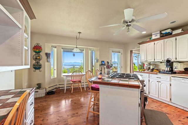 9338 S Caribou Ridge Rd, Harrison, ID 83833