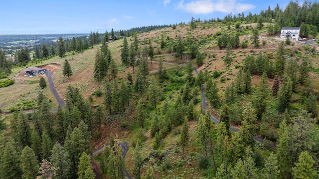 6527 E Big Rock Rd, Spokane, WA 99223 - photo 2