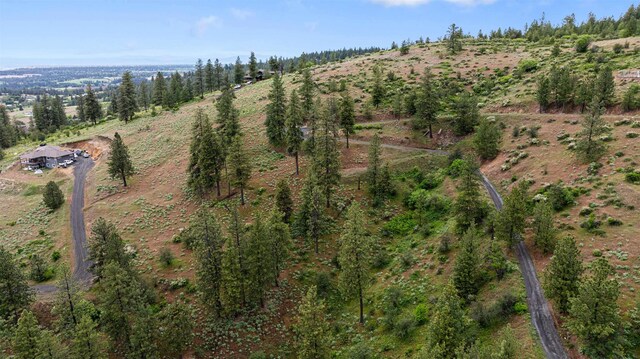 6527 E Big Rock Rd, Spokane, WA 99223 - photo 3