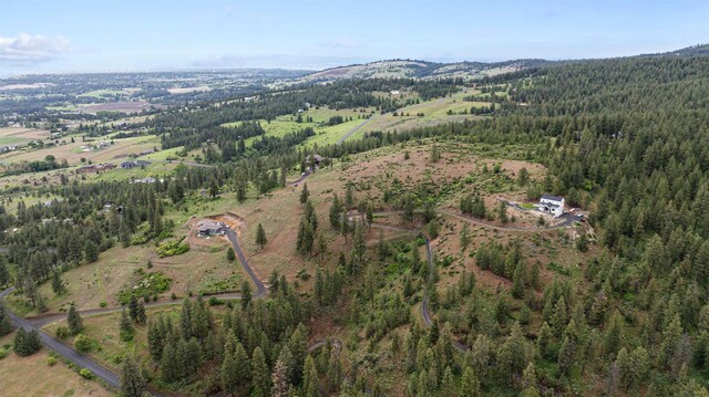 6527 E Big Rock Rd, Spokane, WA 99223 - photo 5