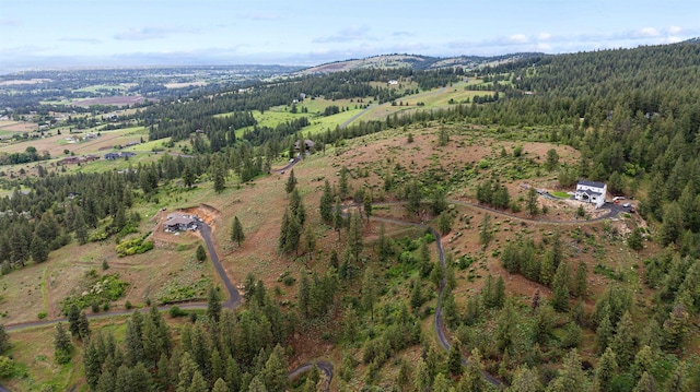 6527 E Big Rock Rd, Spokane, WA 99223 - photo 6