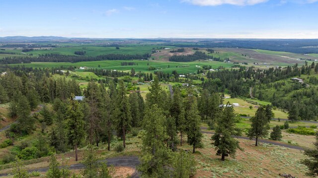 6527 E Big Rock Rd, Spokane, WA 99223 - photo 7